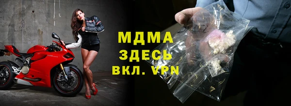 индика Няндома